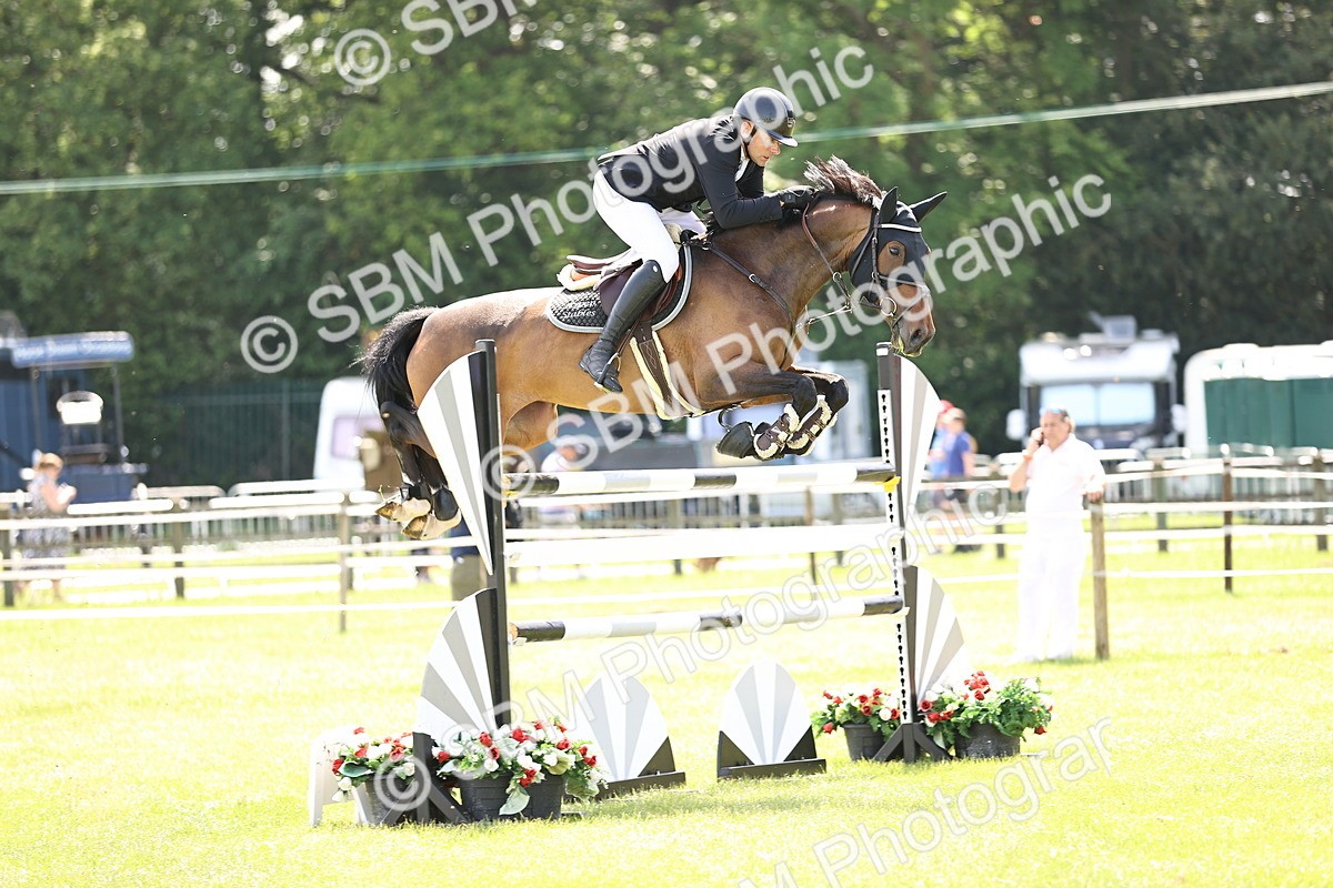 SBM_04037 - Class 201 - British Horse Feedds Speedi Beet HOYS Grade C