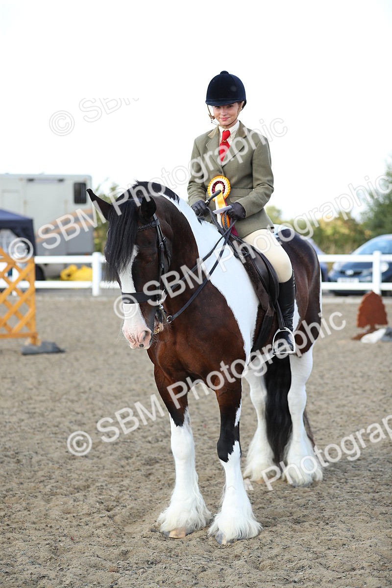 SBM_07019 - Class 49b Style & Performance 80cm (20+)