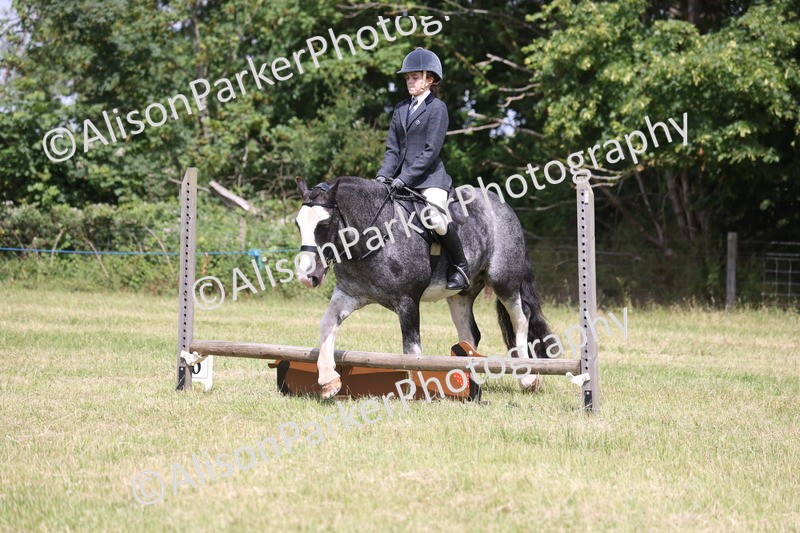 20260614-1969 - Class 21 - Novice Working Hunter Pony