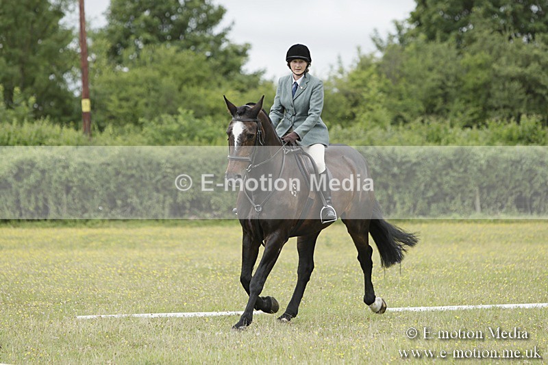 BVR160717-1399 - Class 3 Dressage 16/07/17