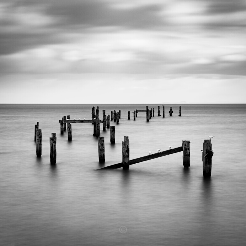 The Old Pier - Latest Images
