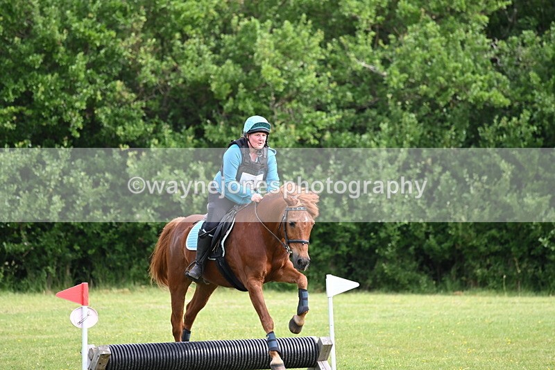 WJ6_2235 - Class 2 40cm