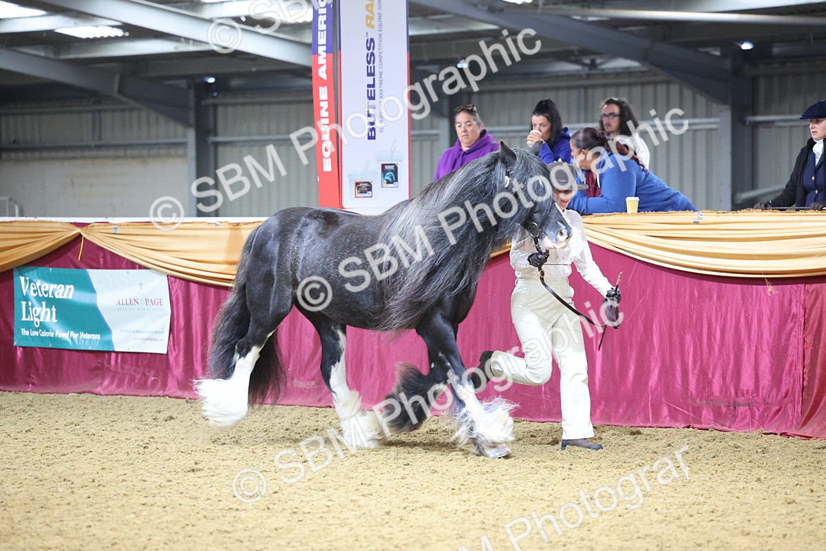 SBM_20970 - Class 902 - Supreme Final IH Veteran