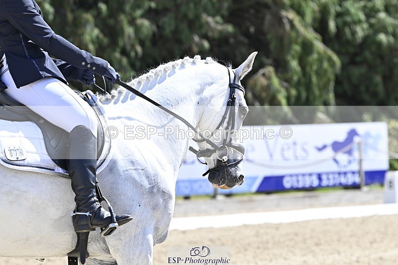 250810A-135354-06780 - 075-Amelia.StruelTanzanite.Silver.Lining