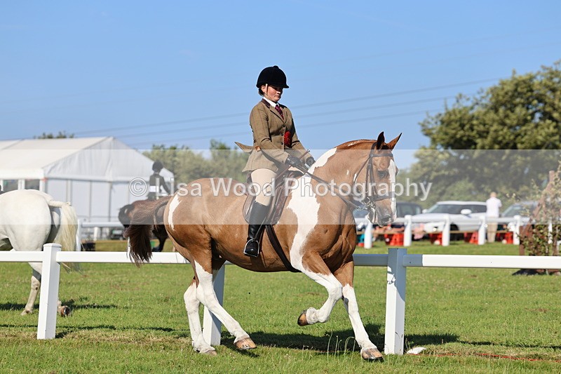 IMG_1460 - Class 29:  Ridden Native/Trad Coloured Horse