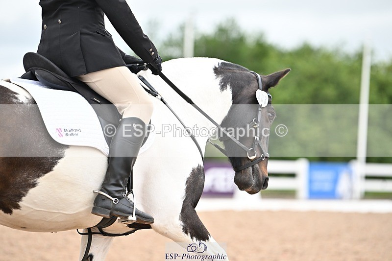 250705-175535-04242 - N2 Section BDNOV2 16.29 to 17.46