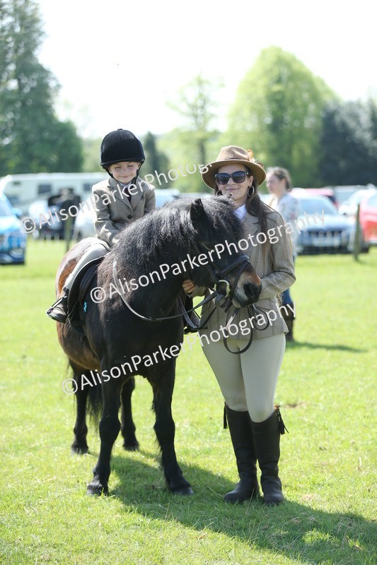 20250427-2684 - Class 6 - Pony Judge Would Most Like To Take Home