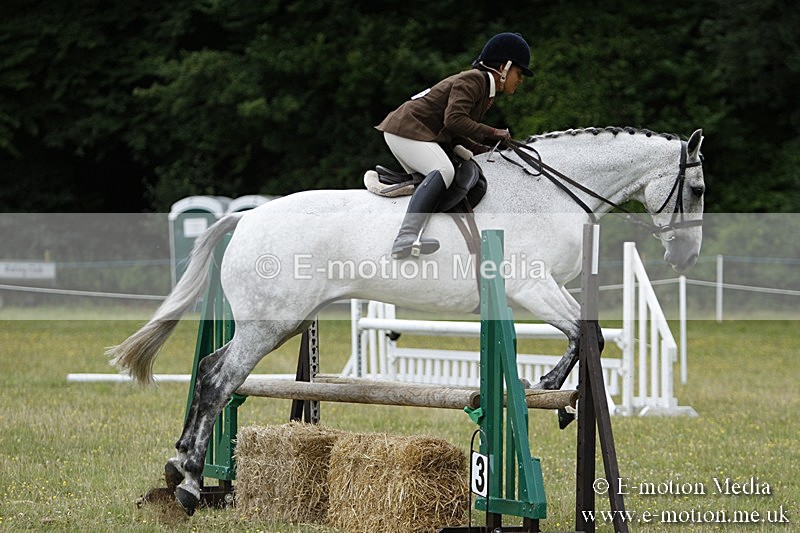 BVR160717-1724 - Ring 3 BVRC Show 16/07/17