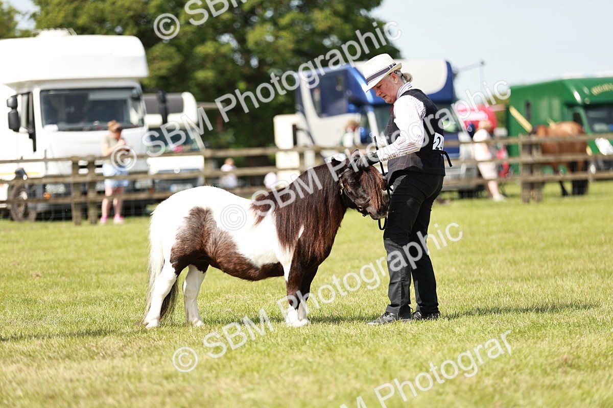 SBM_02000 - Class 14-23 - Mountain & Moorland In Hand Non Welsh