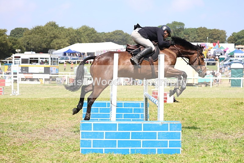 3E7A2877 - Class 7: Senior British Novice/90cm open