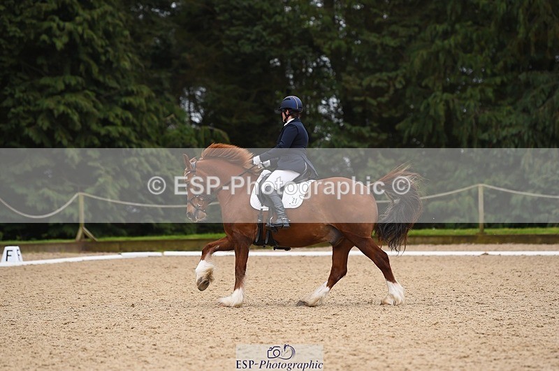 230426-111302-00409 - Cls 4 Novice 38Q Start to 11.30 break