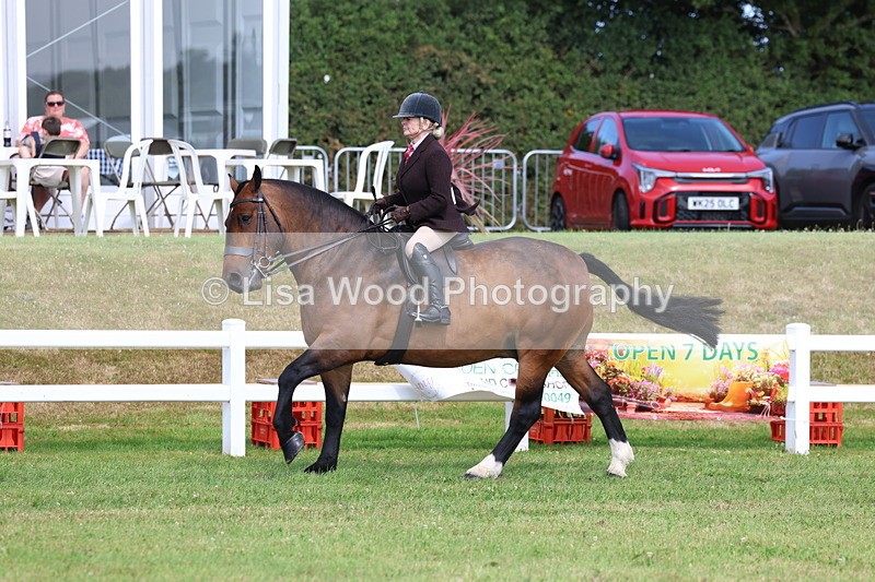 3E7A9872 - Class 5: Rising Star Lightweight/Heavyweight Cobs