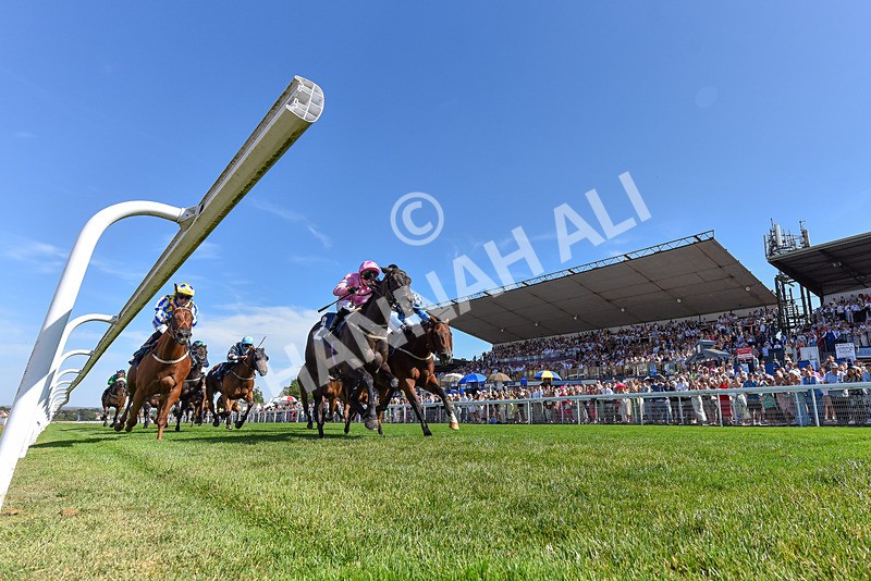 120826-Race 3-Sir David-4885 - Race 3 15.15pm Clearanswer Call Centres Handicap