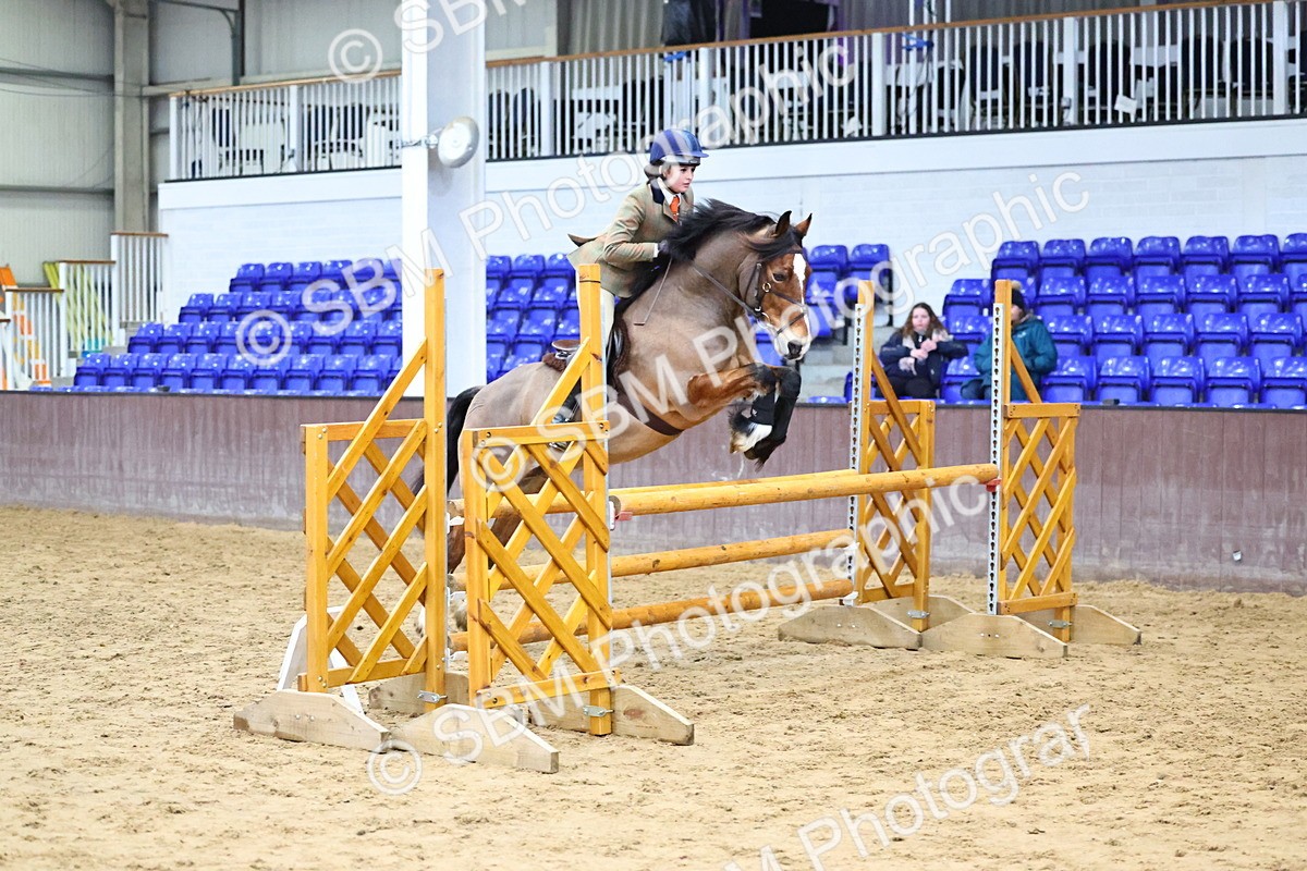 SBM_006577 - Class 43 - RIHS Qualifier Exceeding 43cms