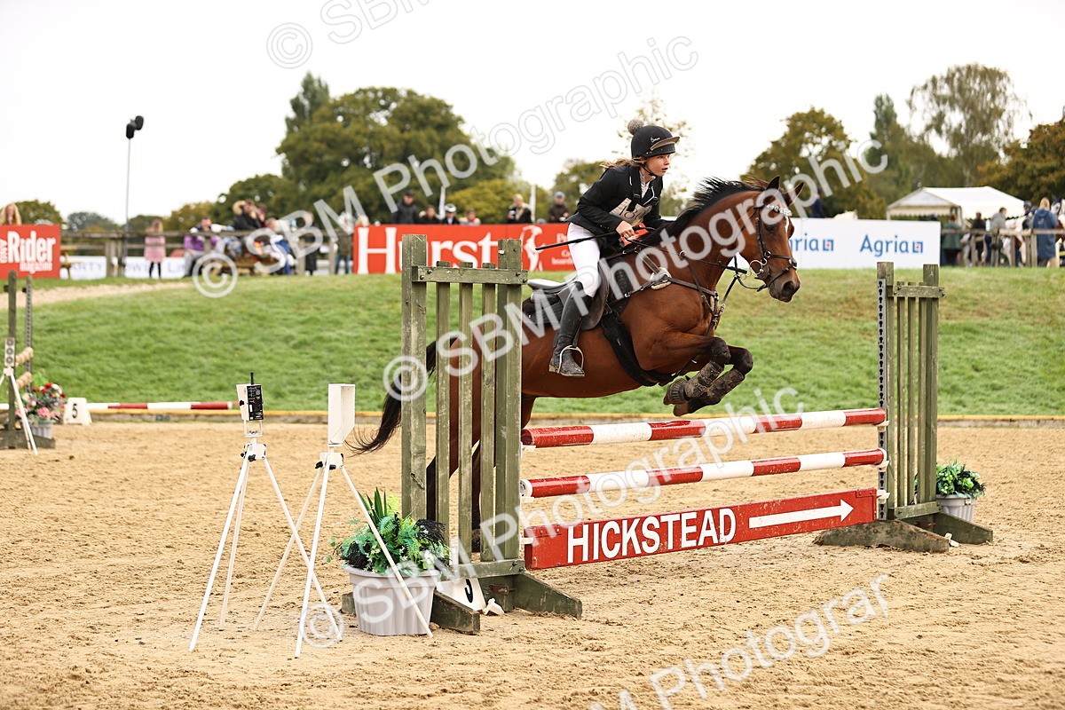 SBM_58384 - J41 - Grand Tour Horse & Pony 95cm