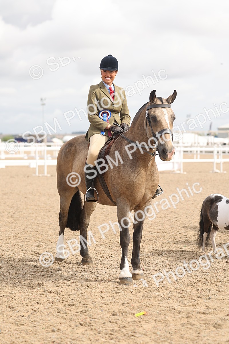 SBM_04581 - Class 19 - Horse/Pony Judge would most like to take home