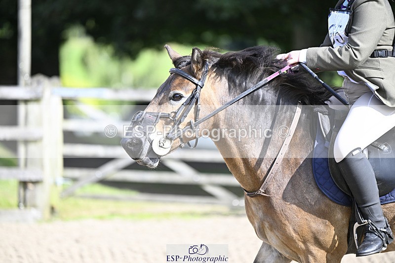 240823X-101415-15118 - 60cm R2 9.30 to 11.00