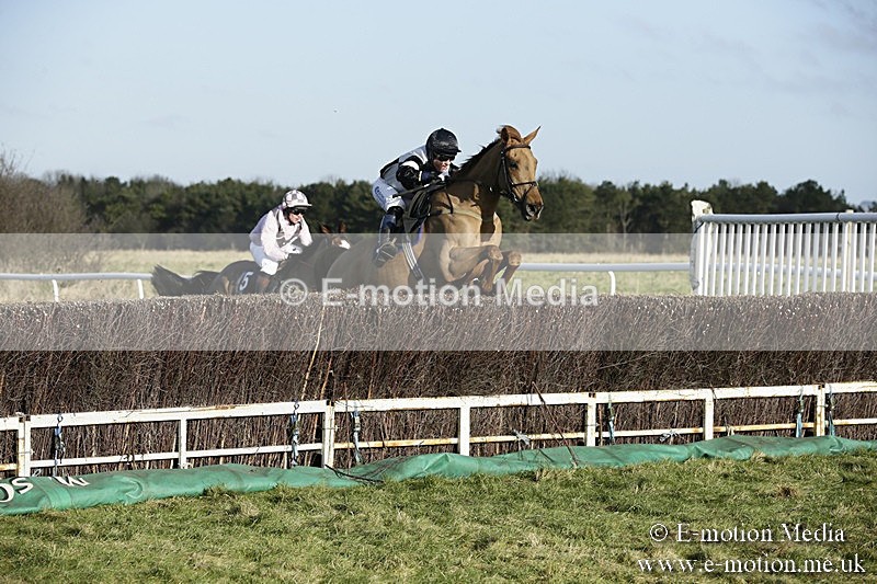PtP 070118 -66 - Larkhill Racing Club Point to Point Larkhill 07/01/2018