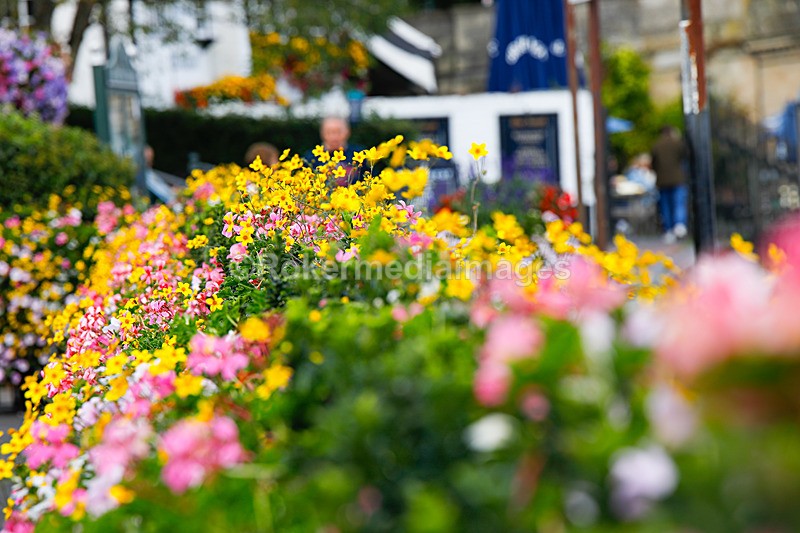  - Out N about in Henley