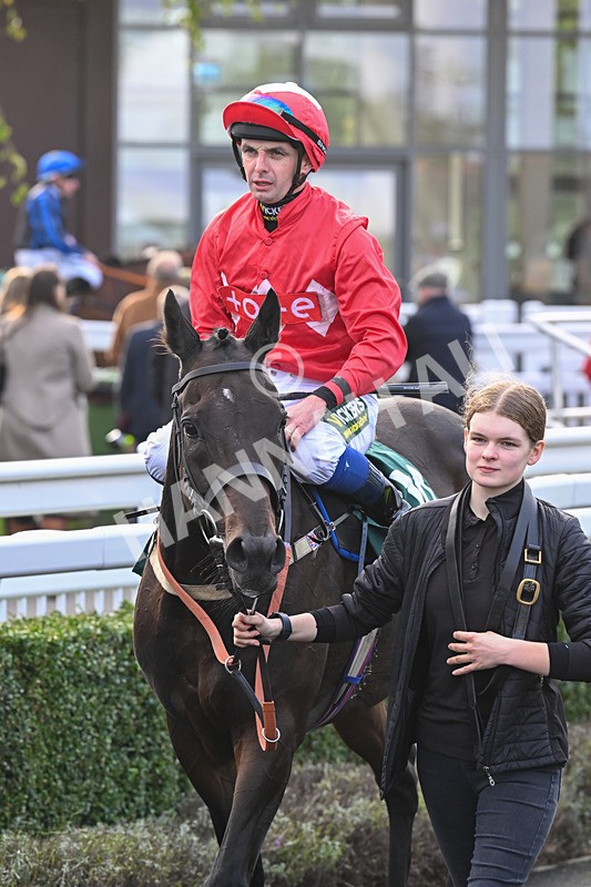 021024-Race 6-Redrosezorro-9682 - Race 6