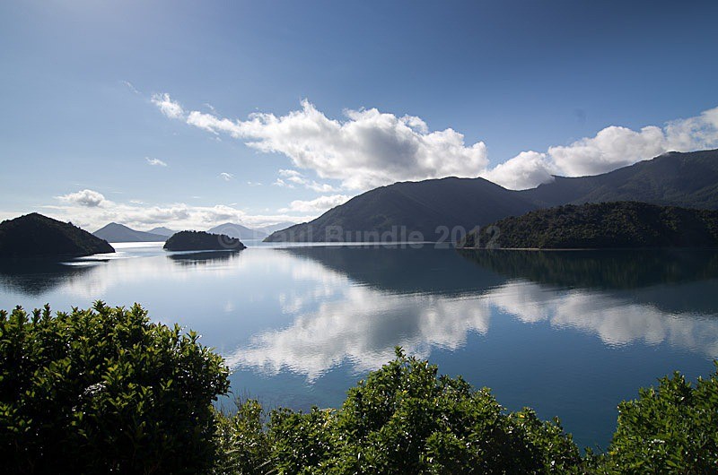 Archer Track Marlborough Sound - New Zealand South Island