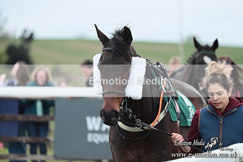 PtP 130425 5 - Edgecote Races 13/04/25