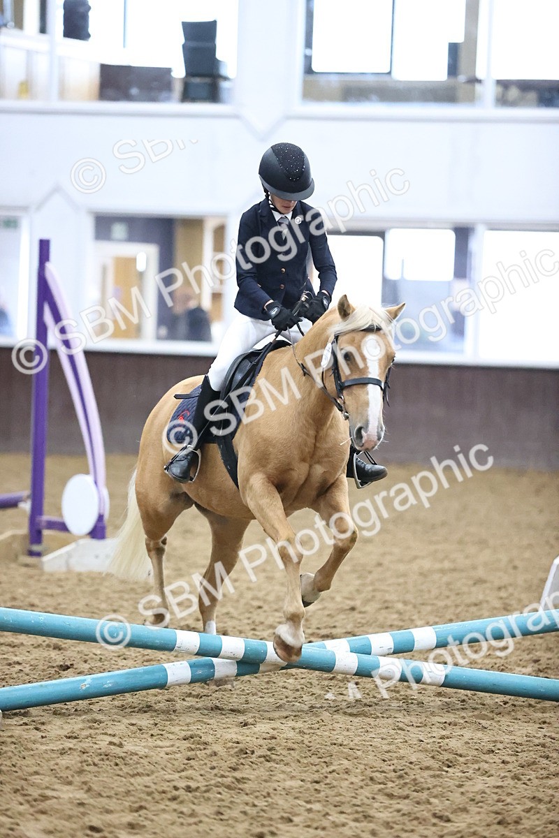 SBM_000078 - Class 1 - Fox Farriers 30cm