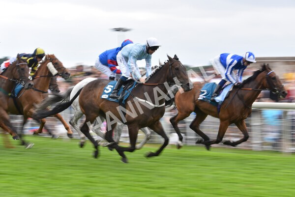 yr23072022r5-20 - Race 5 4.25pm Sky Bet UK's No1 Betting App Stakes