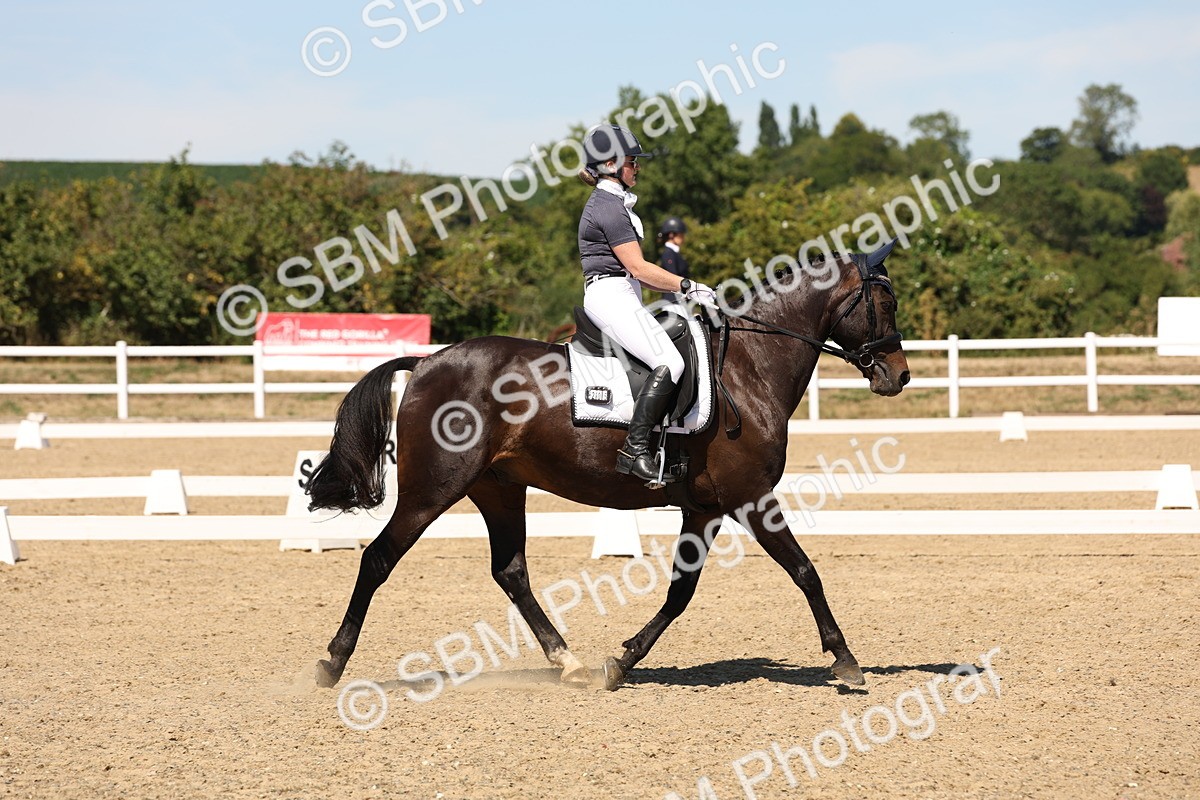 SBM_002947 - Elementary 4