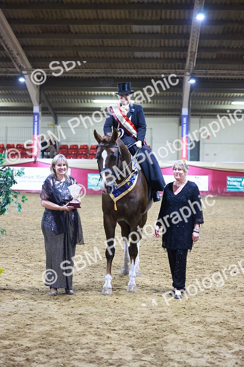 SBM_15038 - Class N - Side Saddle Champ