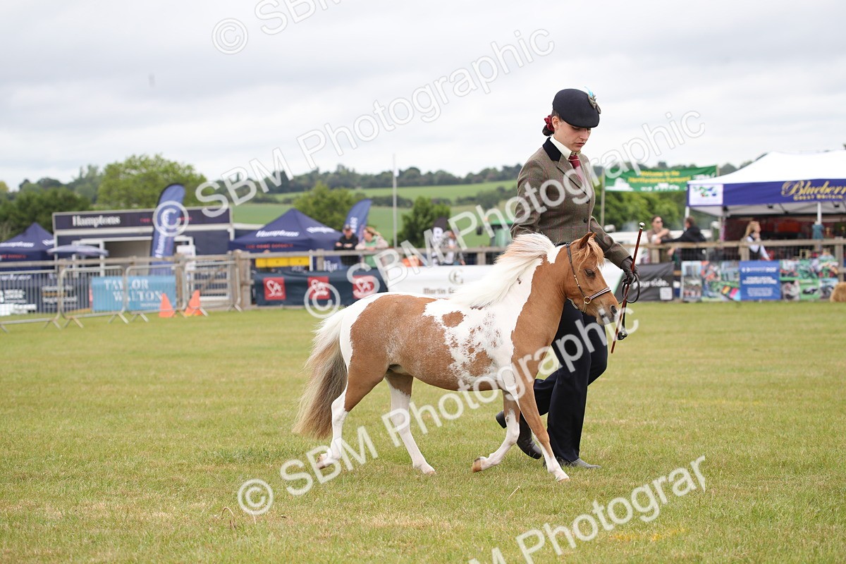 SBM_03999 - Class 23-25 - British Miniature Horse of the Year