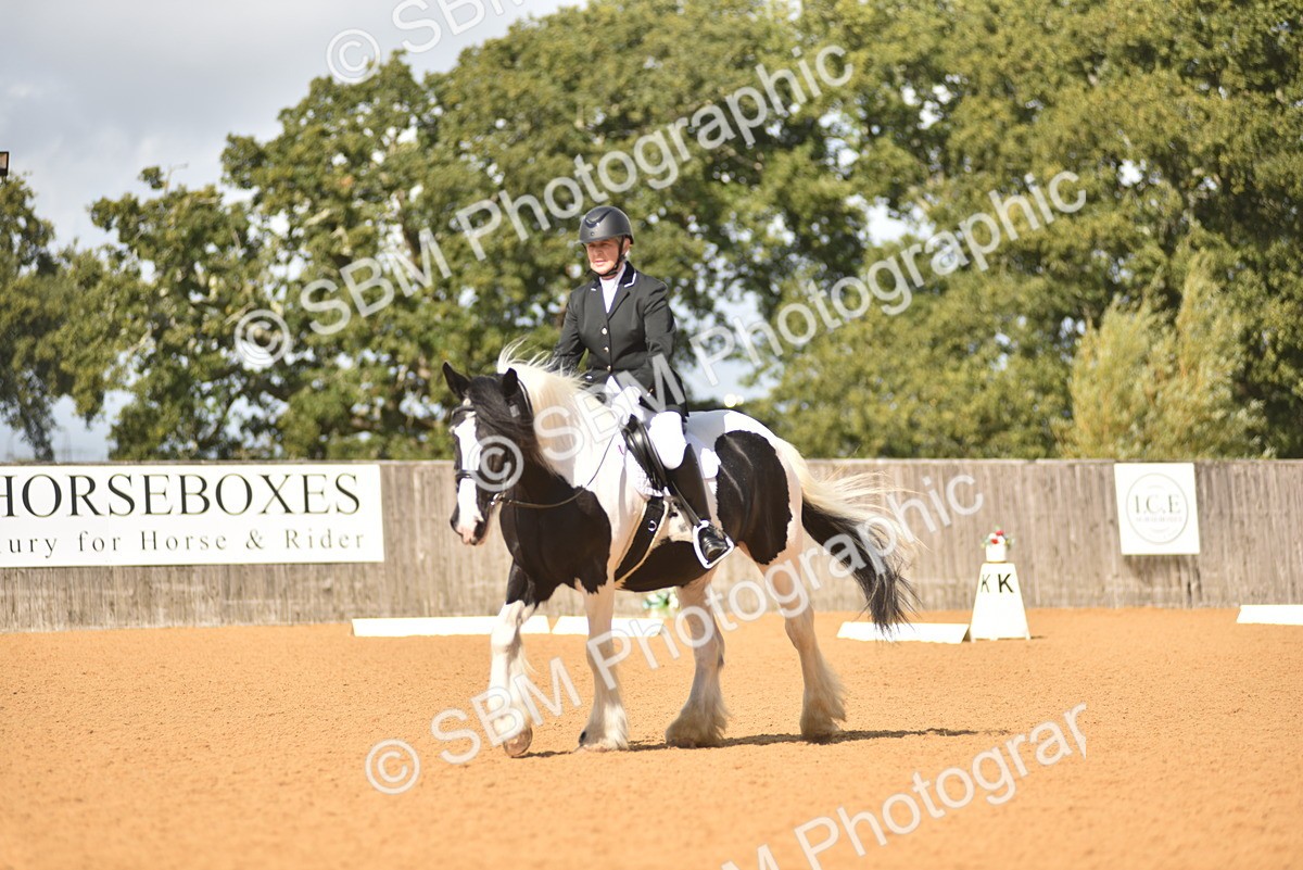 SBM_03143 - D4 - Small Tour Championship Intro 4