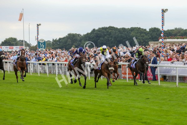 230823-Race 5-Forza Orta-4455 - Race 5 4.10pm Sky Bet Stayers Handicap