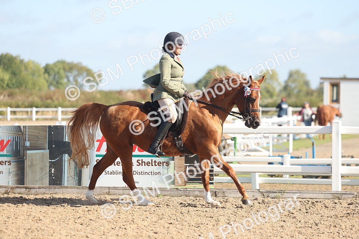SBM_22303 - Class 803 - Ridden Combination 65+