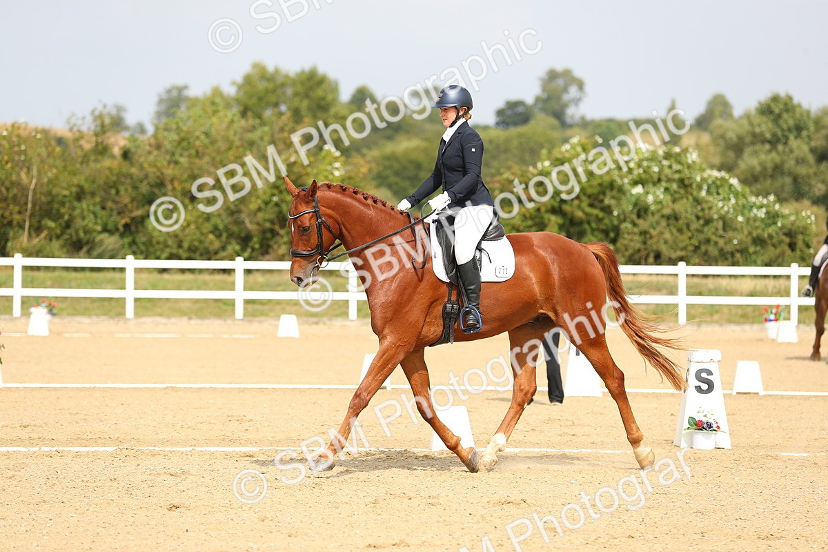 SBM_017282 - Class 13 - Novice 23 - 13.31-14.13