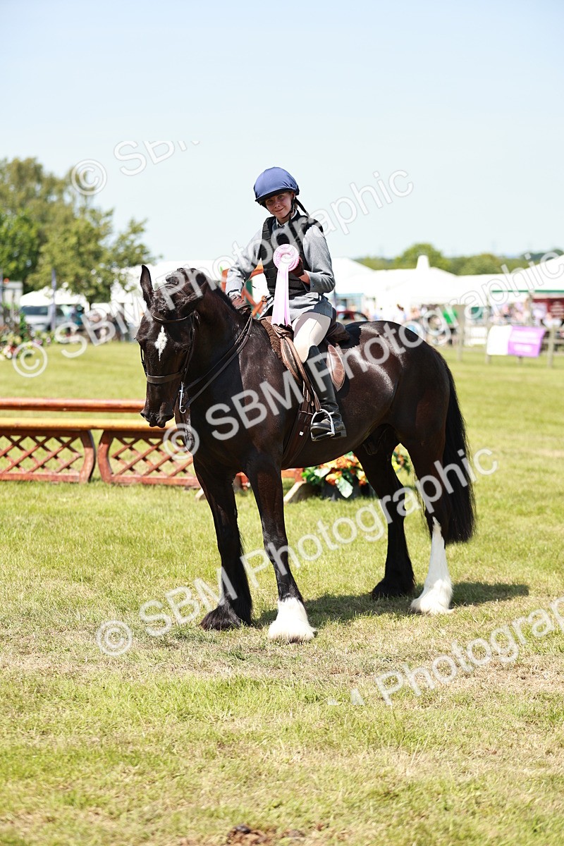 SBM_16423 - Class 110-111 - Training Stakes (70cms 80cms)