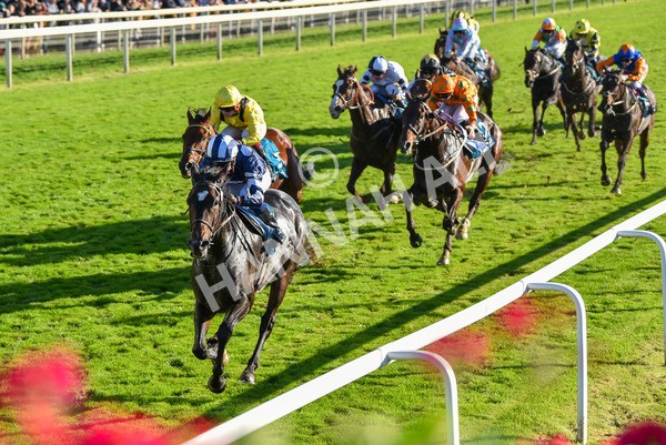 141023-Race 5-Certain Lad-1346 - Race 5 3.35pm Coral Racing Bet Bundles Handicap