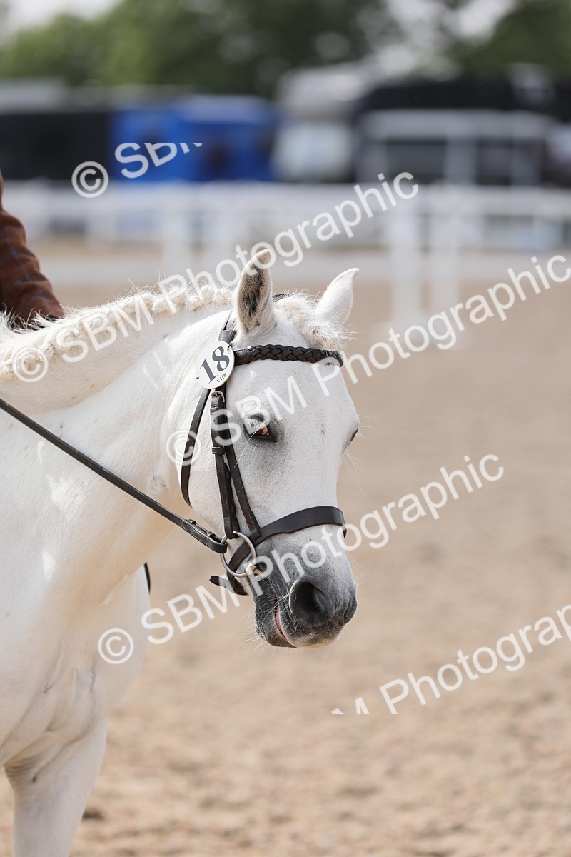 SBM_14697 - Class 310 First Ridden Pony