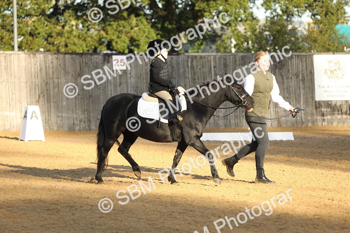 SBM_33566 - D26 - Starers - Lead Rein