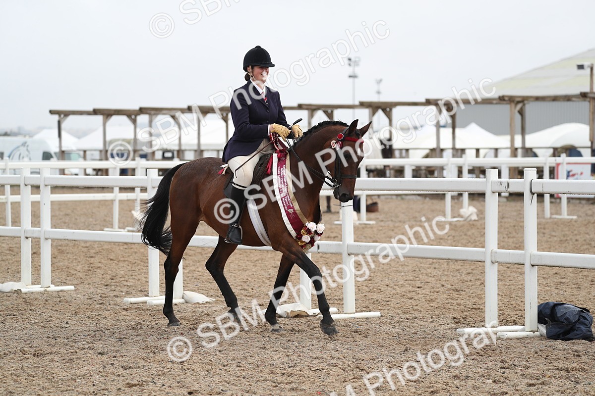 SBM_21685 - Class 602 - 2025 Area - Ridden Veteran