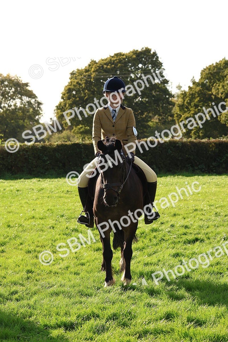 SBM_52631 - S13 - Pony Club Pony