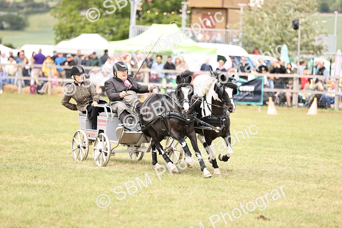 SBM_16088 - Class 91 - Scurry  exceeding 122cms
