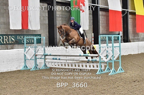 BPP_3660 - FRI CLASS 21 BR NOVICE/90CM