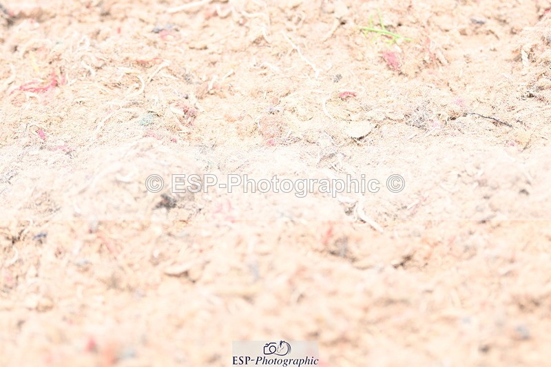 240622A-132233-10787 - Cls 37 BD Music Adv Medium