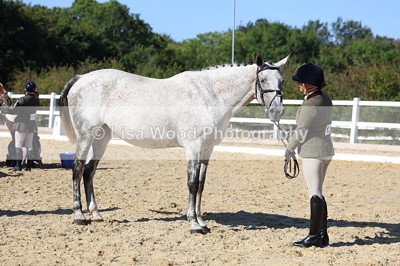 3E7A5546 - Class 9: Open Ridden Hunter