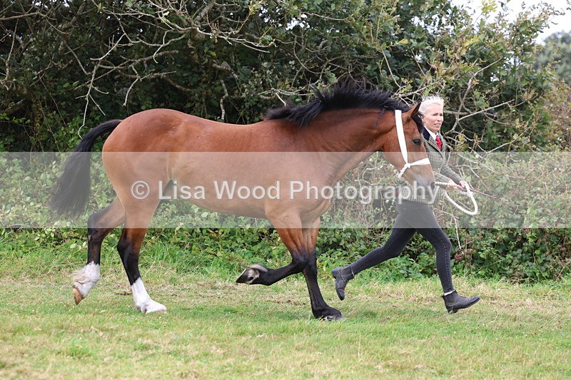 3E7A4374 - Class 15: Three Year Olds