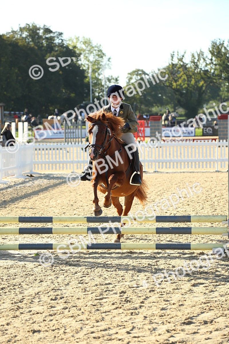SBM_35026 - J5 - Junior Pony 50cm Championship