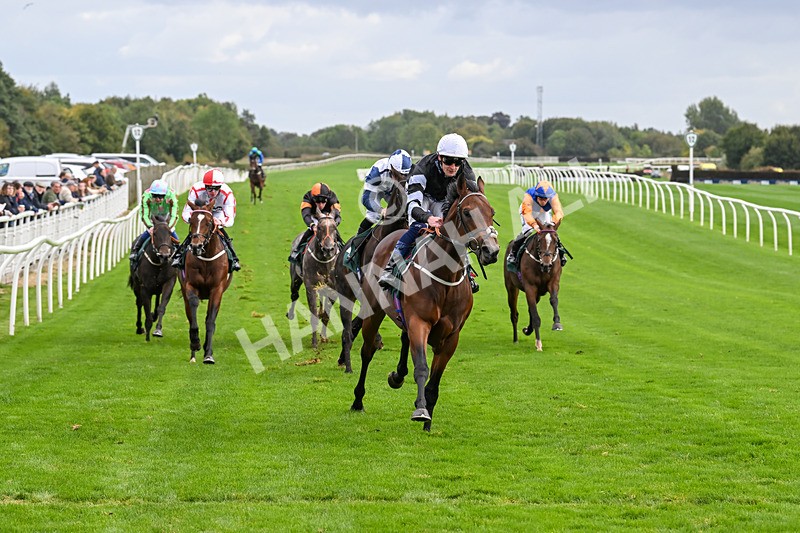 021024-Race 3-Kirkdale-9319 - Race 3