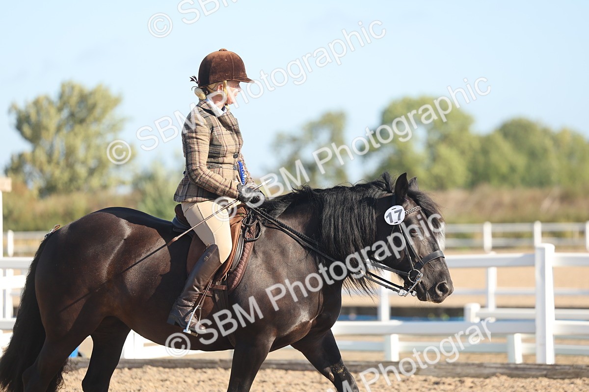 SBM_22156 - Class 801 - Ridden Veterans