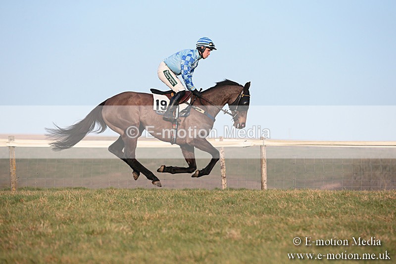 PtP 230219 591 - Vine & Craven Point-To-Point - Barbury 23/02/19